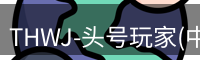 THWJ-头号玩家(中国)唯一官方网站